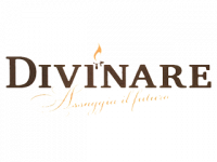 Логотип производителя Divinare