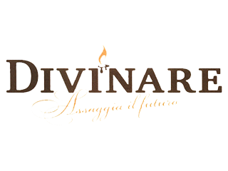 Логотип производителя Divinare