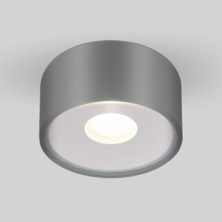 Уличный потолочный светильник Elektrostandard Light LED 2135 IP65 a057472