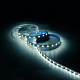 Лента Gauss Basic LED 5050/60 12V 10W/m 700lm/m 4000K 10mm IP20 1м 1/100 BT034