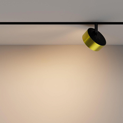 Магнитный трековый светильник Maytoni Rado TR040-4-18W3K-DS-BBS