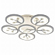 Потолочная светодиодная люстра F-Promo Ramus 2390-6U
