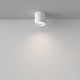 Потолочный светильник Maytoni Polar C088CL-GX53-W