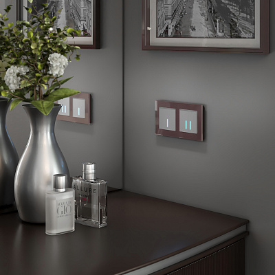 Сенсорный выключатель одноклавишный с подсветкой Werkel W4510106 серебряный a047894