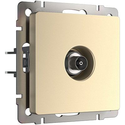 Розетка ТВ оконечная Werkel шампань a050856