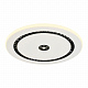 Потолочный светильник F-Promo Skiva 4433-1C