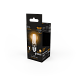 Лампа Gauss Filament А60 15W 1400lm 2700К Е27 LED 102902115 (20 шт)
