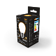 Лампа Gauss Filament Шар 5W 420lm 2700К Е27 LED 105202105