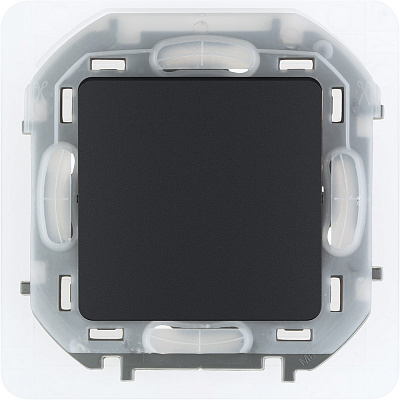 Переключатель антрацит Legrand Inspiria 673673