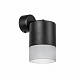Бра Lightstar Rullo RBX348781