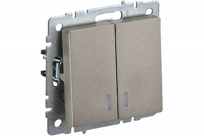 Выключатель двухклавишный с подсветкой IEK Brite ВС10-2-1-БрШ шампань BR-V20-1-10-K37