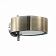 Настенный светильник Evoluce Foresta SL483.701.01