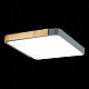 Потолочный светодиодный светильник Evoluce Festa SLE201272-01
