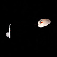 Настенный светильник ST Luce Spruzzo SL305.501.01