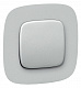 Лицевая панель для выключателей одноклавишных алюминий Legrand Valena Alure 755007