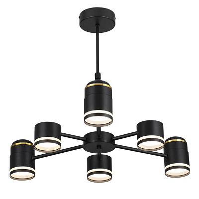 Люстра Lumion Virsava 8234/6C