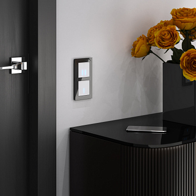 Сенсорный выключатель одноклавишный Werkel серебряные a057680