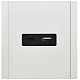 Розетка USB A+C 18Вт IEK FORTE&PIANO FP251M FP-U22-018-M-K01 металл белый
