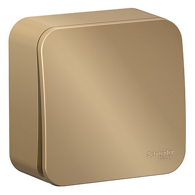 Выключатель одноклавишный SE Blanca с самовозвратом с изолированой пластиной титан BLNCA101014