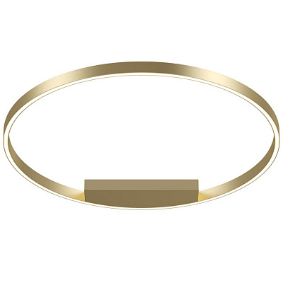 Потолочный светильник Maytoni Rim MOD058CL-L50BSK