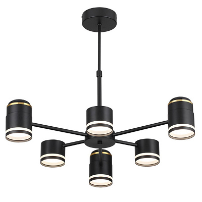 Люстра Lumion Virsava 8234/6C