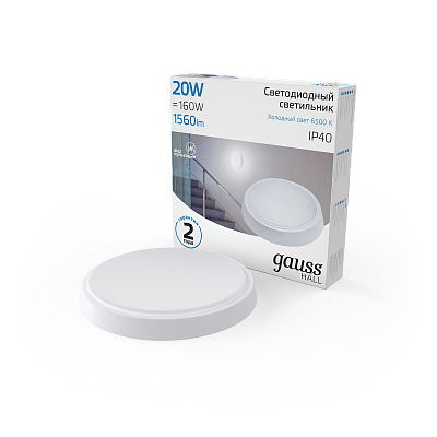 Точечный накладной светильник Gauss HALL 20W 1560lm 6500K 200-240V IP40 LED 193411320