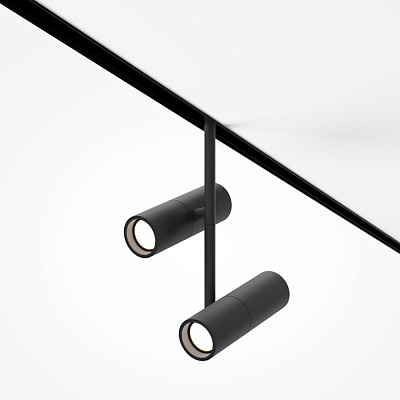 Магнитный трековый светильник Maytoni Elti Duo TR005-4-2X12W-DS-B