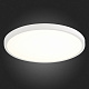 Настенно-потолочный светодиодный светильник ST Luce ST601 ST601.532.32