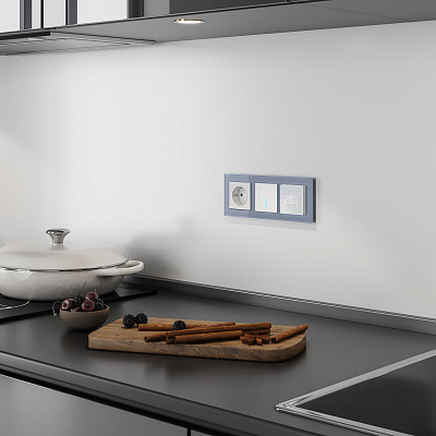 Сенсорный выключатель одноклавишный Werkel серебряные a057680