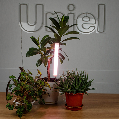 Светильник для растений на колышке Uniel cпектр для фотосинтеза ULT-P39-6W/SPLE