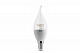 Светодиодная лампа Gauss LED Candle Tailed Crystal Clear E14 4W 2700K 104201104