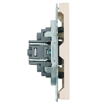 Розетка HDMI 2.0 Type A (механизм), STEKKER Эмили, RST00-5118-08, кашемир, soft touch