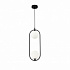 Подвесной светильник Maytoni Ring MOD013PL-02B