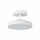 Потолочный светильник Sonex Mira White 7655/12L