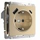 Розетка с заземлением и USB Werkel шампань рифленый a056276