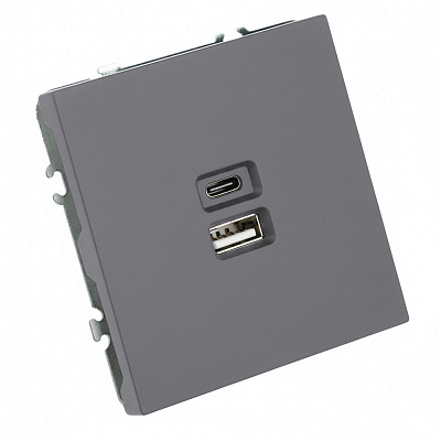 Розетка 2-местная USB + Type C (механизм), STEKKER Эмили, 250В, 20W, RST10-5115-10, платиново-серый, soft touch
