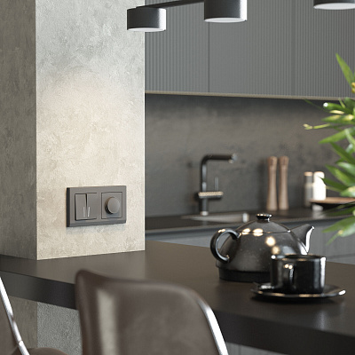 Выключатель двухклавишный с подсветкой Werkel графит матовый a063099