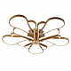 Потолочный светодиодный светильник F-Promo Bluten 2548-5U