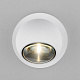 Уличный ландшафтный светильник Elektrostandard Ball 35143/S a057632
