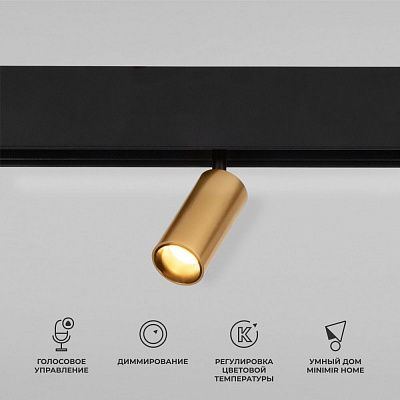 Трековый светильник Elektrostandard Slim Magnetic 85071/01 a063531
