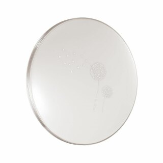 Настенно-потолочный светильник Sonex Airita 3005/EL