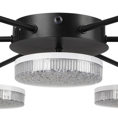 Потолочная люстра Lumion Didana 8236/7CL