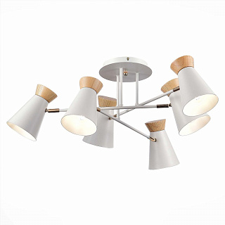 Люстра Evoluce Alfeo SLE1252-502-06