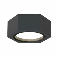Уличный потолочный светильник Favourite Fantum 4667-1U