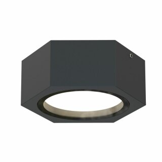 Уличный потолочный светильник Favourite Fantum 4667-1U