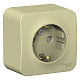 Розетка SE Blanca бежевый BLNRA011117