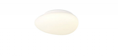 Потолочный светильник Simple Story 1205-LED12CL