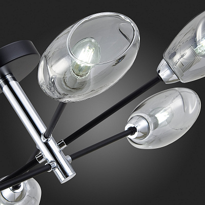 Потолочная люстра Evoluce Gloa SLE155512-06