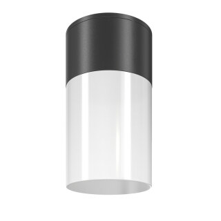 Потолочный светильник Maytoni Outdoor Willis O418CL-01B