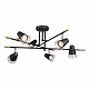 Потолочная люстра F-Promo Trandy 4618-6C